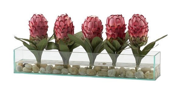 Red Proteas in Rectangle Aquarium Glass