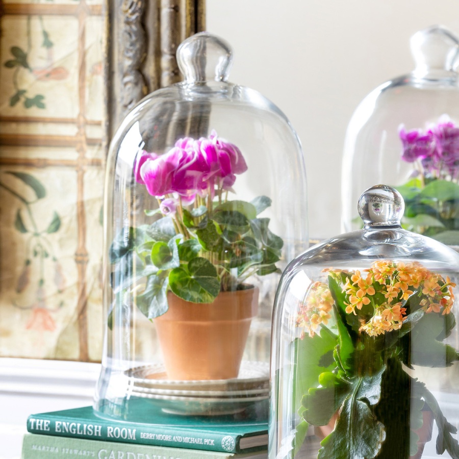 Tall Bell Jar | Old Cannery Furniture