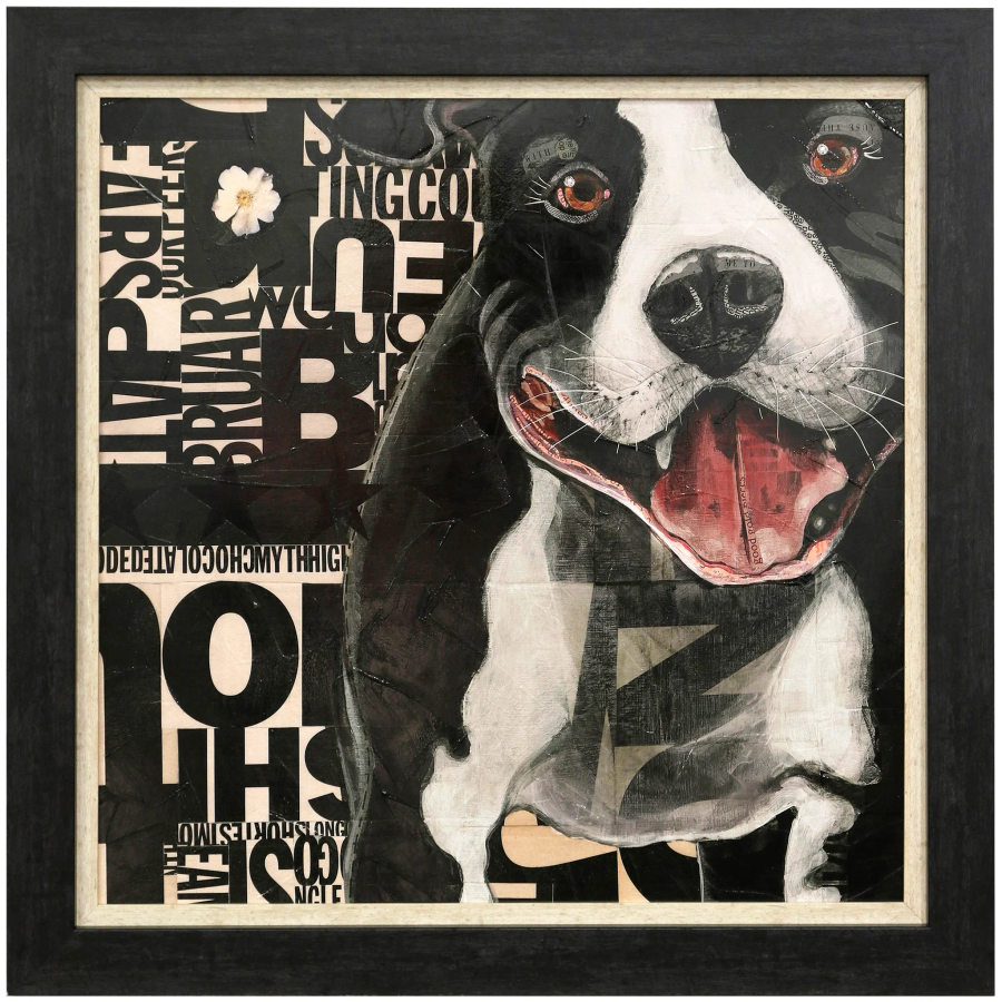 Pit Pat Framed Print